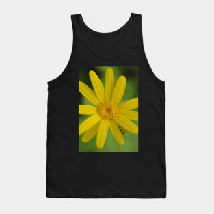 Heartleaf Arnica Tank Top